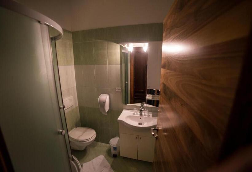 اتاق استاندارد, Paviljon