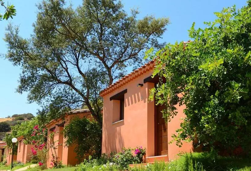 クラシックルーム, Perdepera Resort