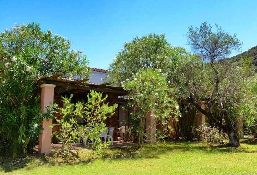 חדר סטנדרט לארבעה, Perdepera Resort