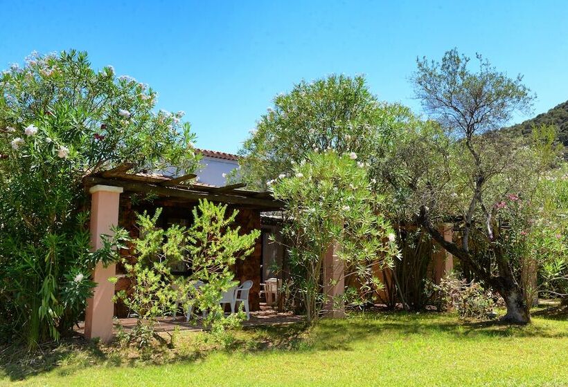 חדר סטנדרט לארבעה, Perdepera Resort