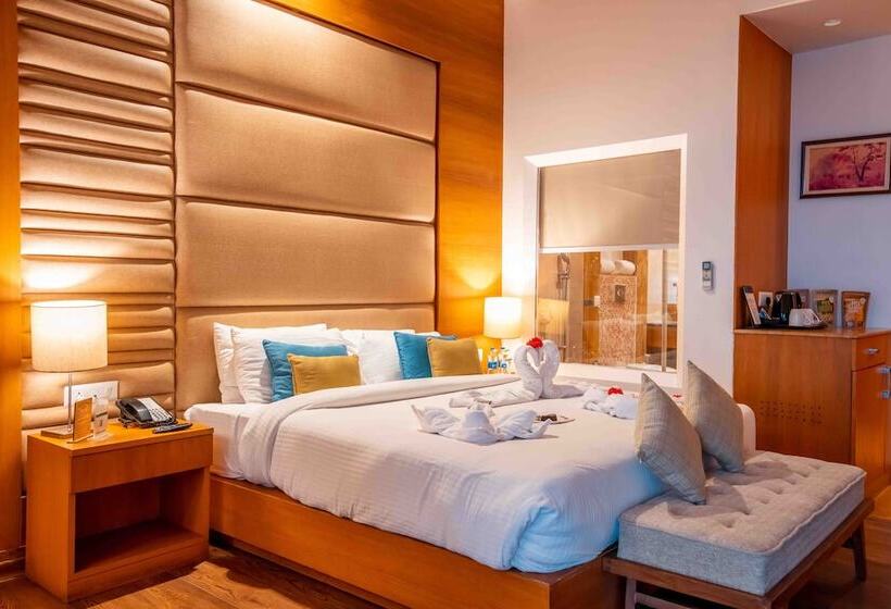 스탠다드 룸, The Fern Surya Resort Kasauli Hills, Dharampur