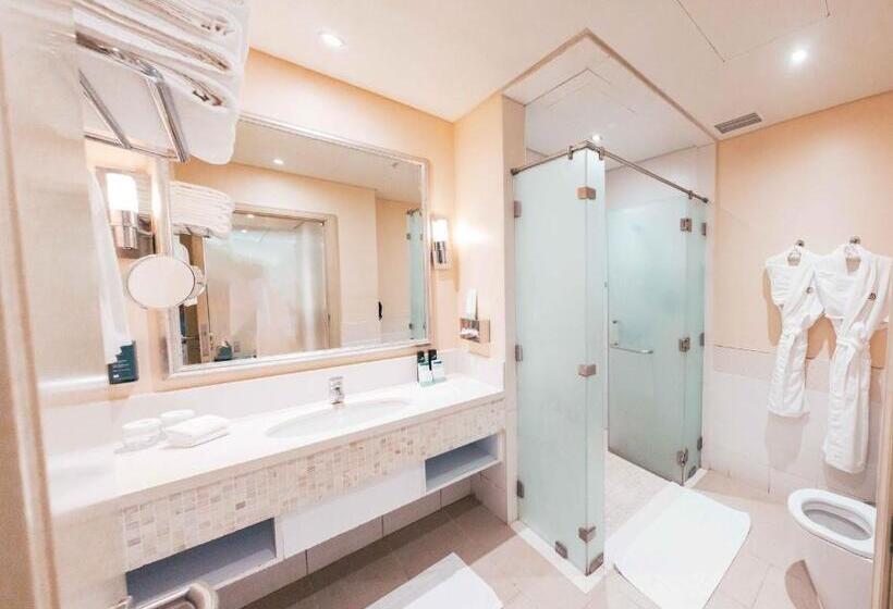 سوییت اجرایی, Salalah Gardens Hotel Managed by Safir Hotels & Resorts