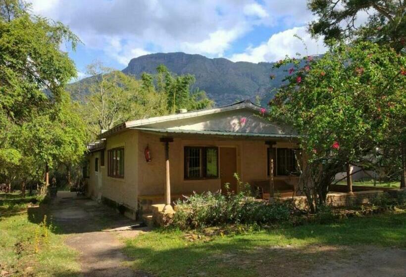 标准间, Jungle Hut