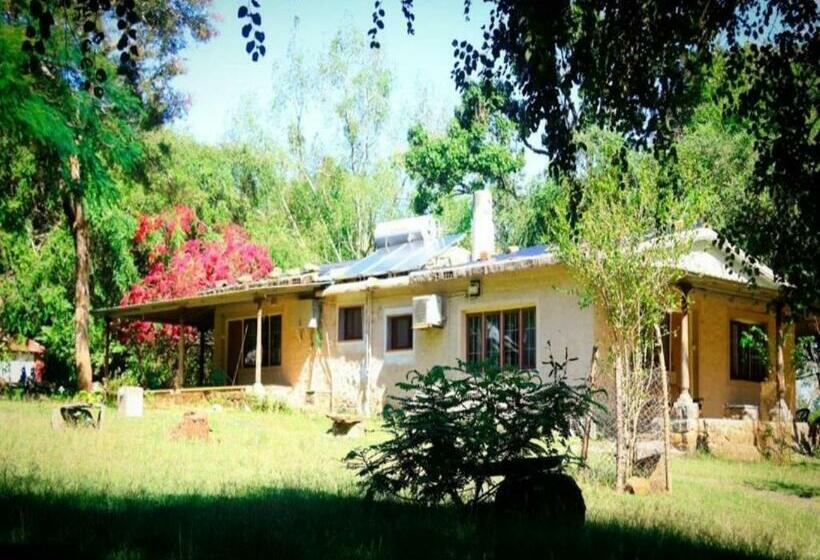 标准间, Jungle Hut