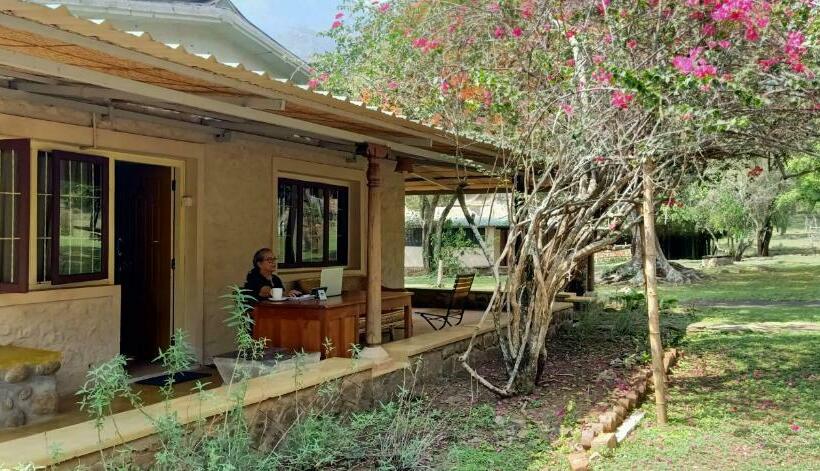 标准间, Jungle Hut