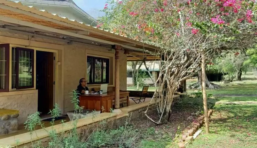 スタンダードルーム, Jungle Hut