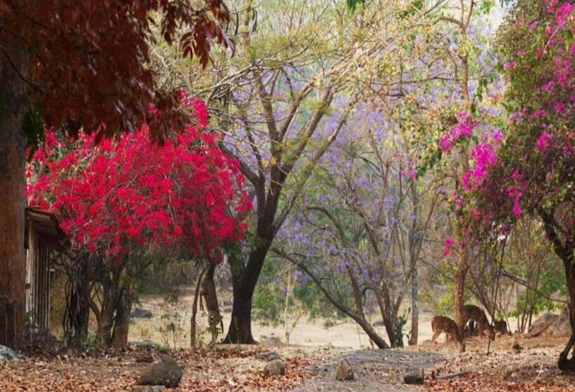 标准间, Jungle Hut