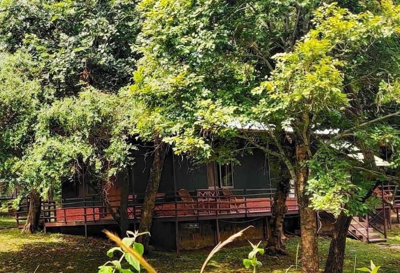 Standard Tent, Jungle Hut