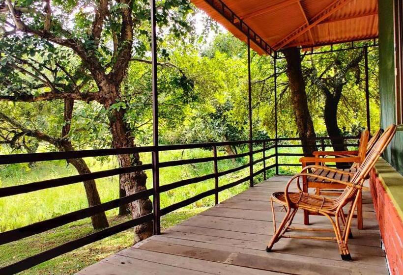 Standard Tent, Jungle Hut