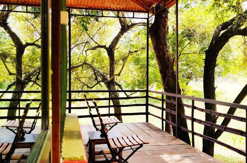 Standard Tent, Jungle Hut