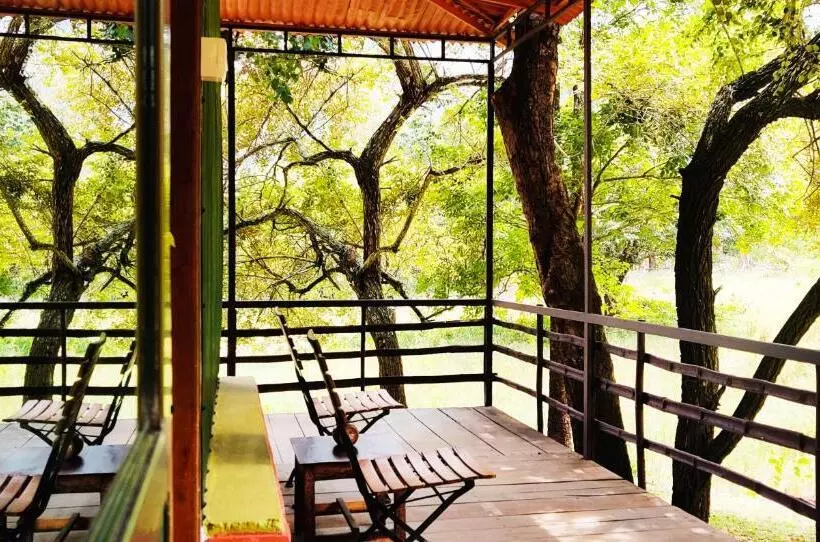 Standard Tent, Jungle Hut