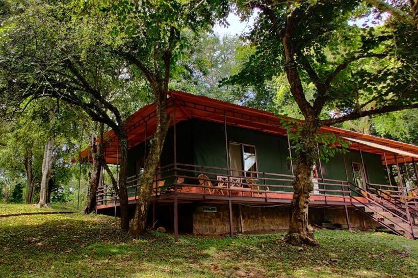 Standard Tent, Jungle Hut