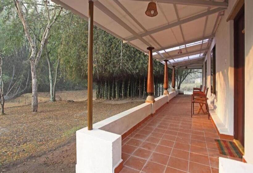 高级大房间, Jungle Hut