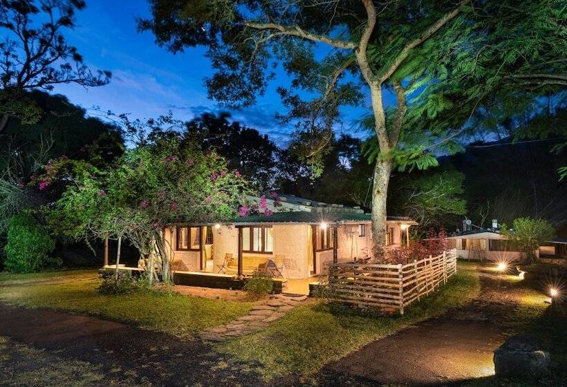 标准间, Jungle Hut