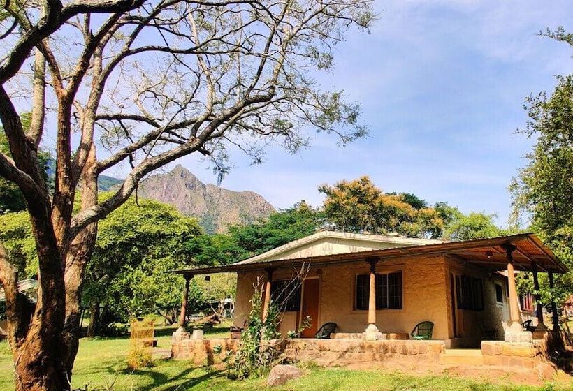 标准间, Jungle Hut