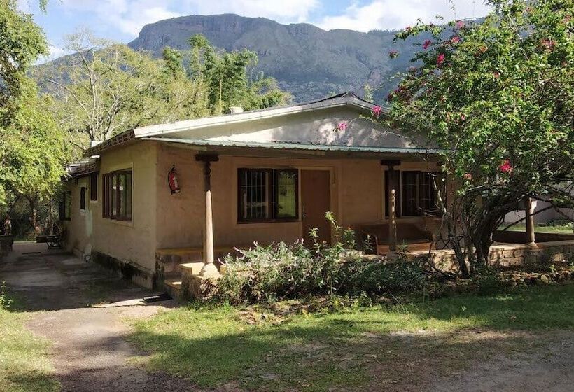 标准间, Jungle Hut