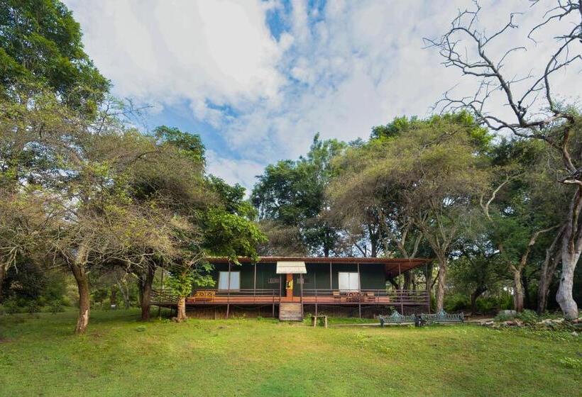 Standard Tent, Jungle Hut