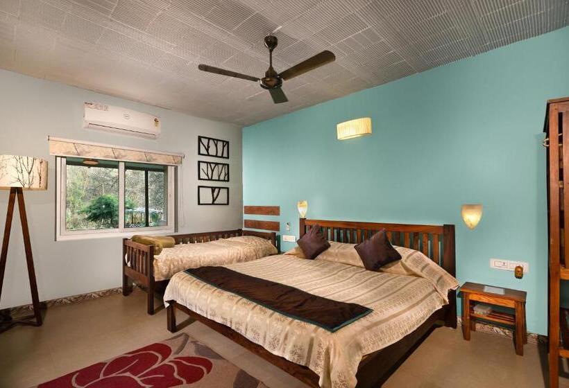 高级大房间, Jungle Hut