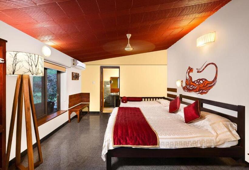 高级大房间, Jungle Hut