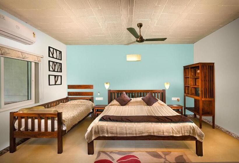 高级大房间, Jungle Hut