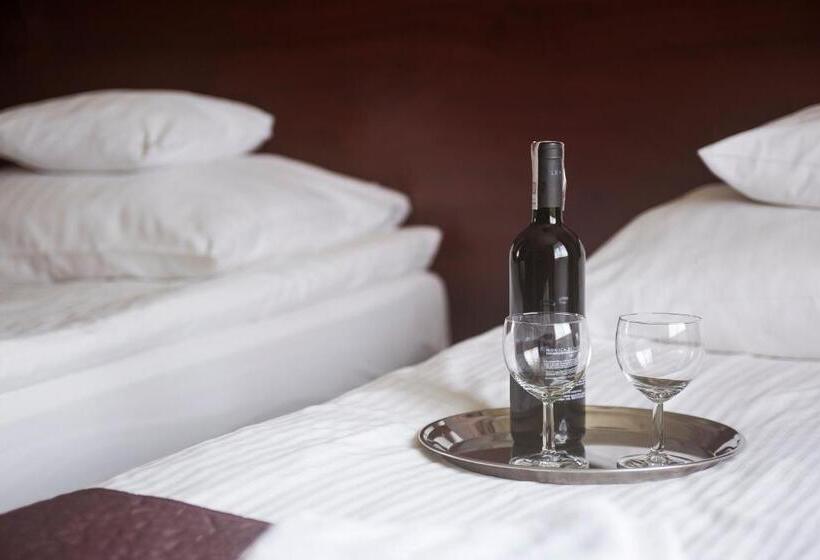 חדר סטנדרט, Vinci Hotel Airport