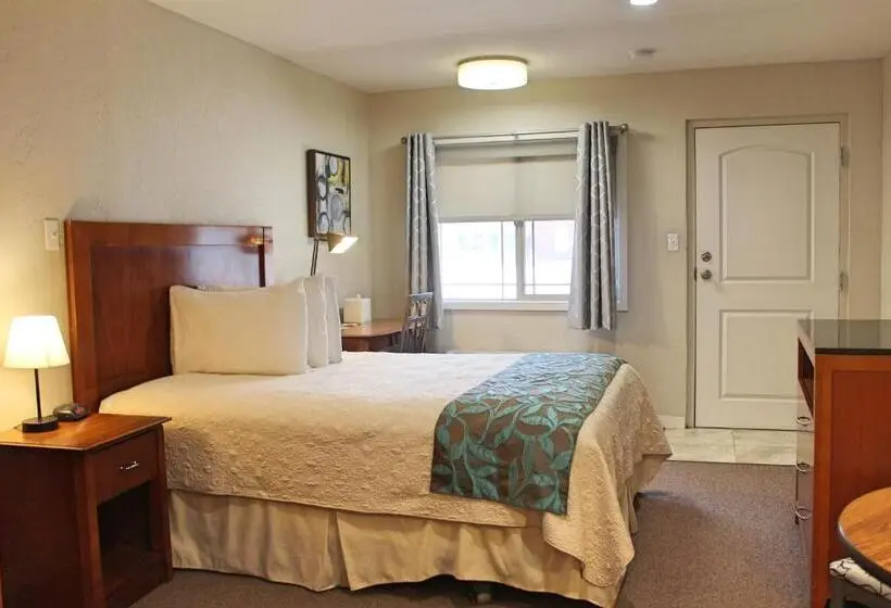 スタンダードルーム, Bell & Main Alamosa Studio Suite Walking Distance To Downtown