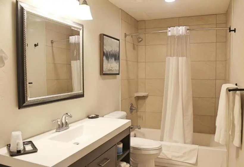 デラックススタジオ, Bell & Main Alamosa Studio Suite Walking Distance To Downtown