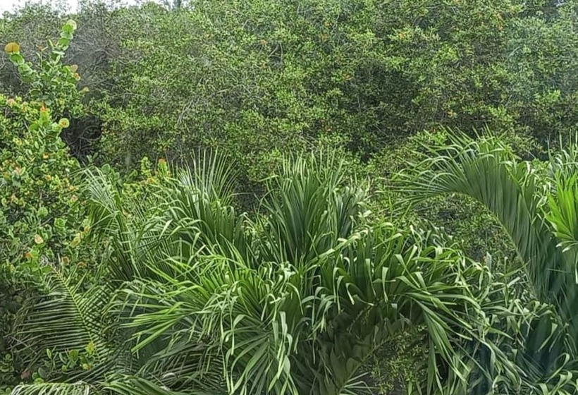 디럭스 룸, Artisan Family Hotels And Resort Collection Playa Esmeralda