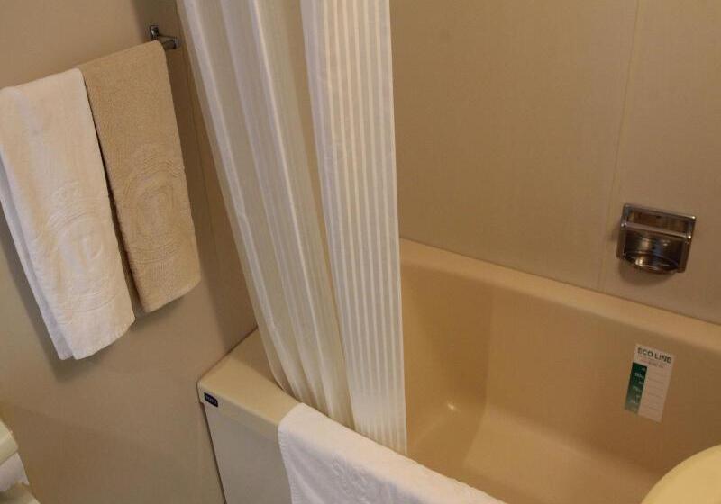 غرفة قياسية, Apa Hotel Fukuoka Yukuhashi Ekimae