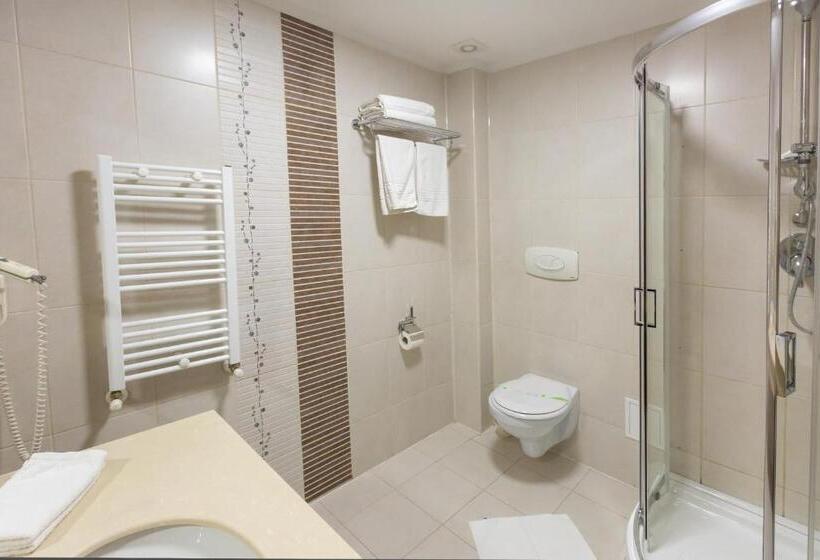 Полулюкс Superior, Art