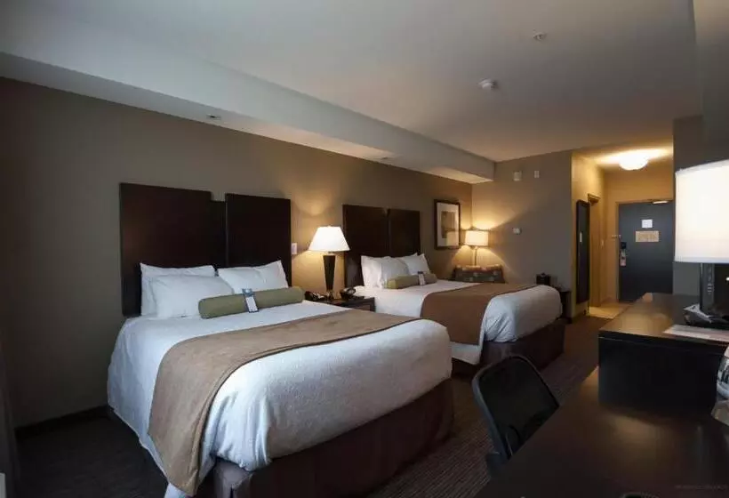 スタンダードルーム, Best Western Plus Moose Jaw