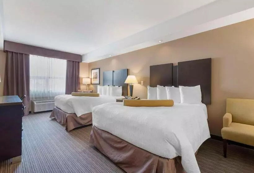 スタンダードルーム, Best Western Plus Moose Jaw