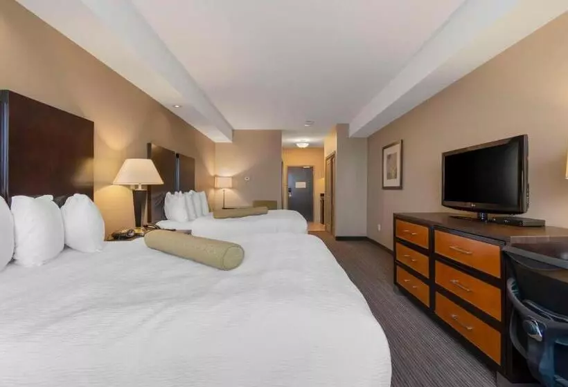 スタンダードルーム, Best Western Plus Moose Jaw