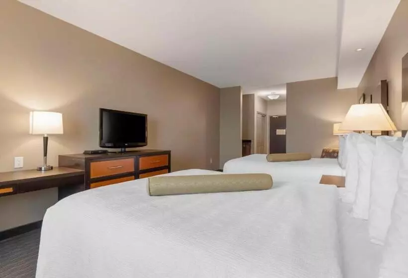 身障者適用スタンダードルーム, Best Western Plus Moose Jaw