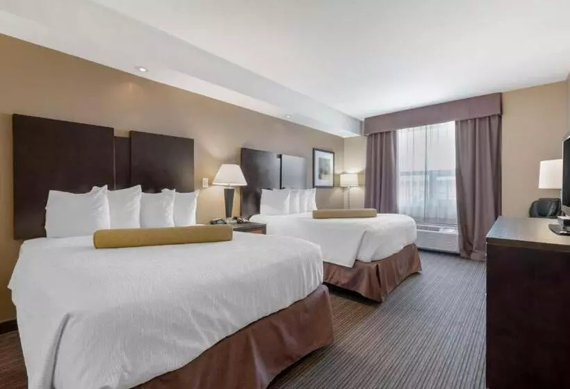 身障者適用スタンダードルーム, Best Western Plus Moose Jaw