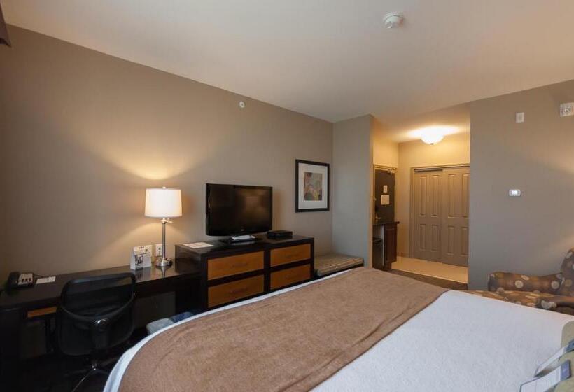 חדר סטנדרט עם מיטת קינג, Best Western Plus Moose Jaw