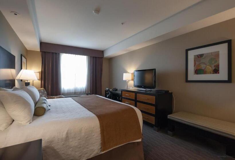 חדר סטנדרט עם מיטת קינג, Best Western Plus Moose Jaw