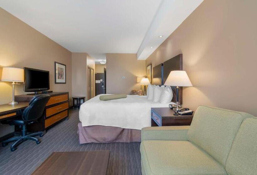 חדר סטנדרט עם מיטת קינג, Best Western Plus Moose Jaw