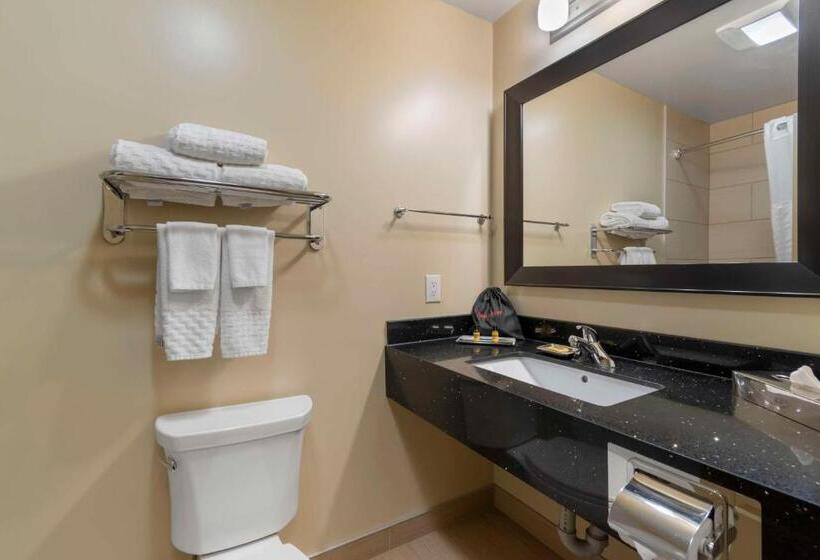 חדר סטנדרט עם מיטת קווין, Best Western Plus Moose Jaw