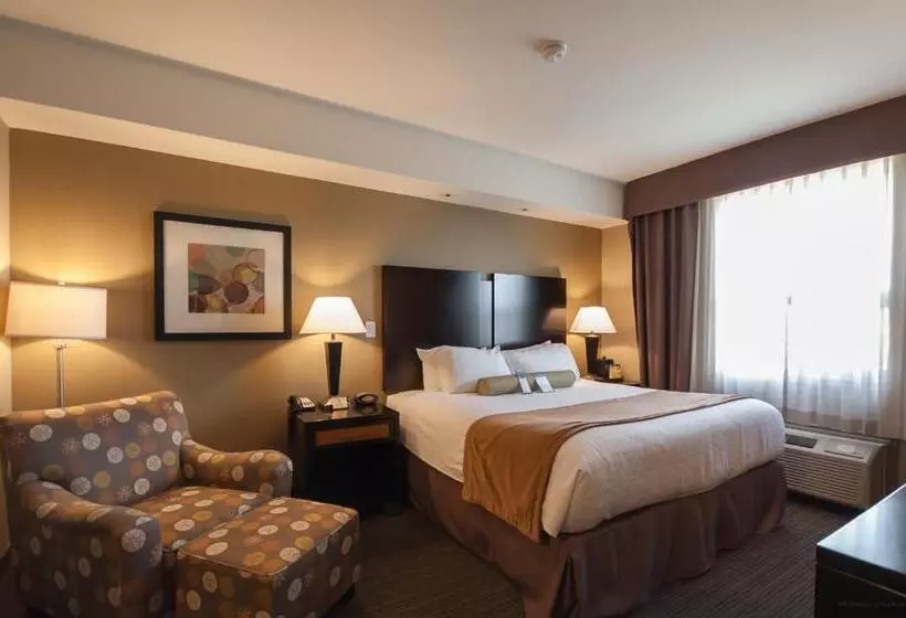 キッチン付きスタンダードルーム, Best Western Plus Moose Jaw