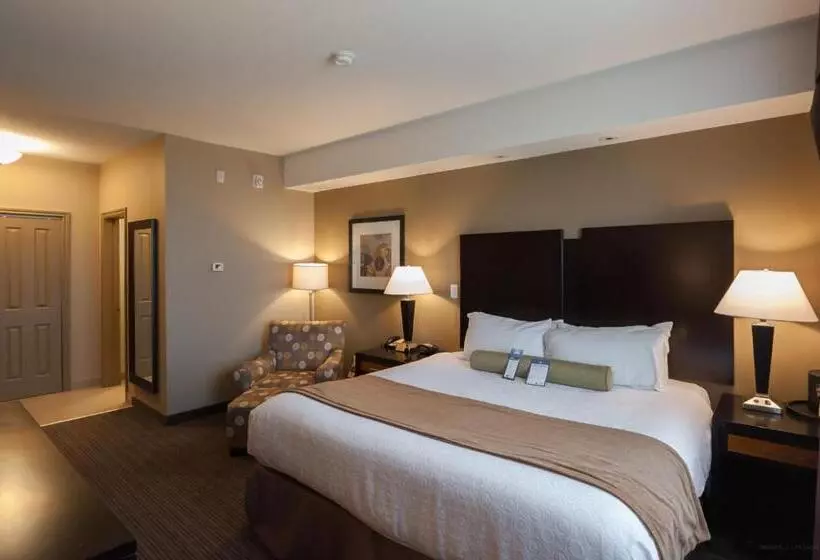 身障者適用キングサイズベッドルーム, Best Western Plus Moose Jaw
