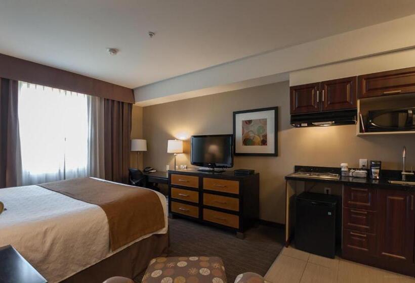 חדר סטנדרט, מיטת קינג, מותאם לאדם עם מוגבלויות, Best Western Plus Moose Jaw