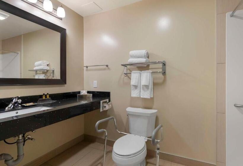 חדר סטנדרט, מיטת קינג, מותאם לאדם עם מוגבלויות, Best Western Plus Moose Jaw