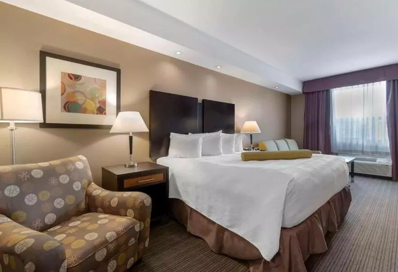 身障者適用キングサイズベッドルーム, Best Western Plus Moose Jaw