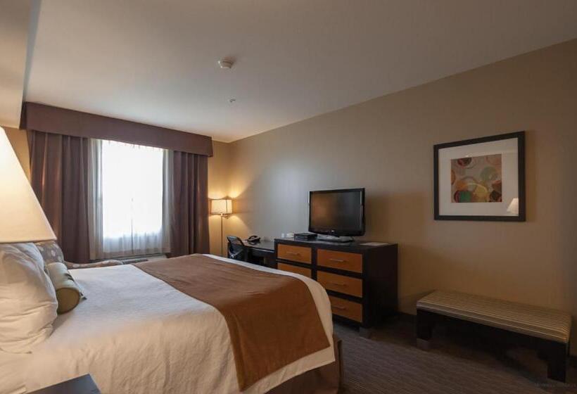 חדר סטנדרט עם מיטת קינג, Best Western Plus Moose Jaw