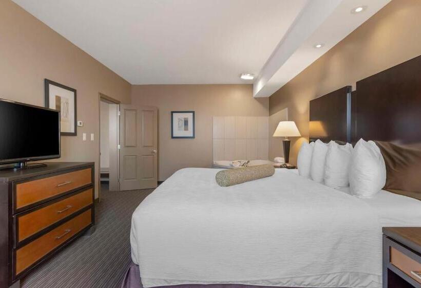 מיטת קינג בסוויטה, Best Western Plus Moose Jaw