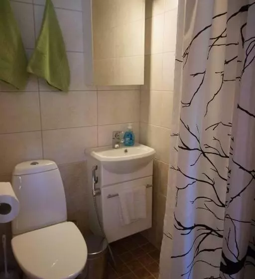 استودیوی استاندارد, Korpikartano