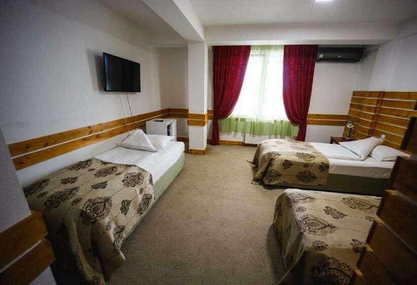 غرفة قياسية ثلاثية, La Sura Getilor