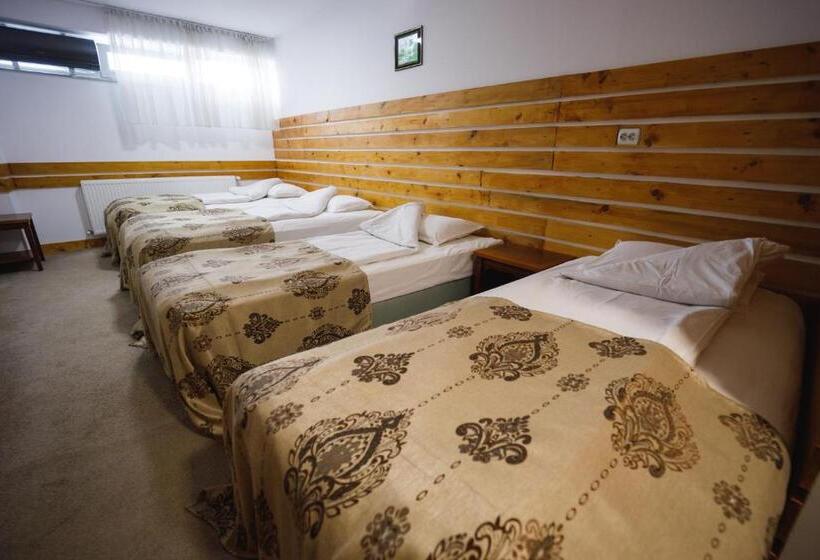 غرفة قياسية ثلاثية, La Sura Getilor