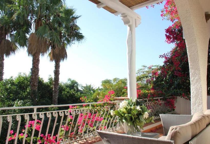 スーペリアースイート, Simius Playa